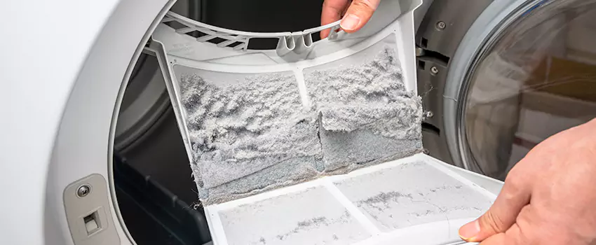 Best Dryer Lint Removal Company in Kenmore, Washington