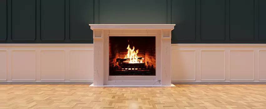 Napoleon Electric Fireplaces Inspection Service in Kenmore, Washington